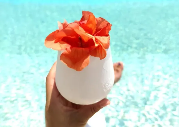 ホテル Syrtaki Ofrínion